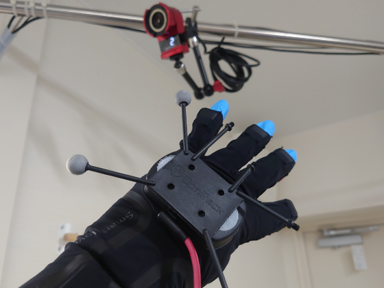 グローブの写真